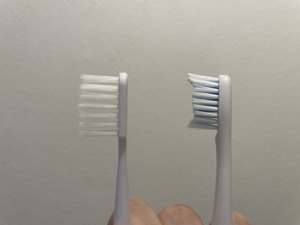 オプションの歯ブラシとの比較